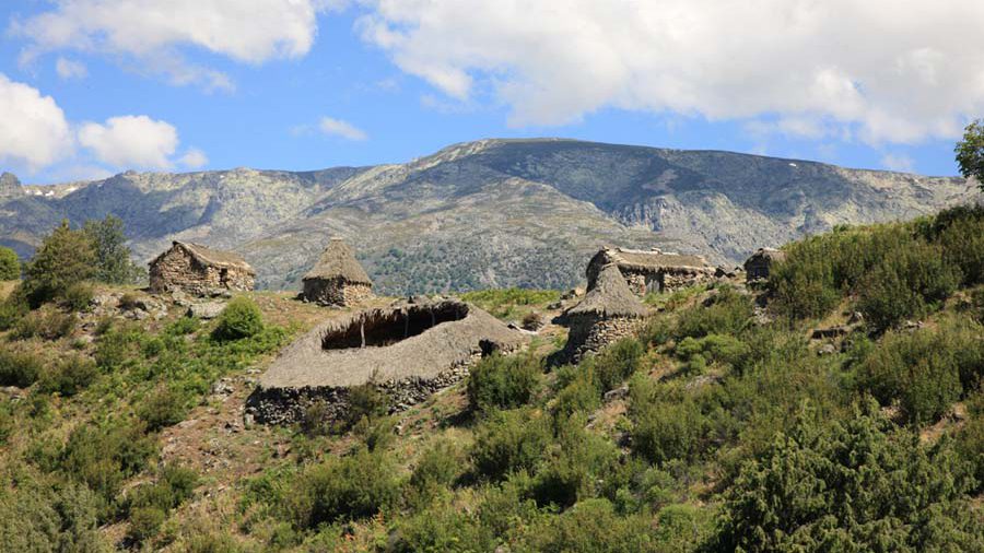 AV_Candeleda_ElRaso_MajadaBragillas_fotoBenitoArnaiz_20140601_0110 copia