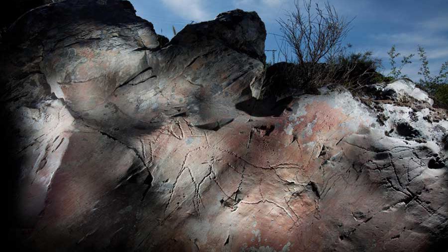 SA_SiegaVerde_Panel8920 copia