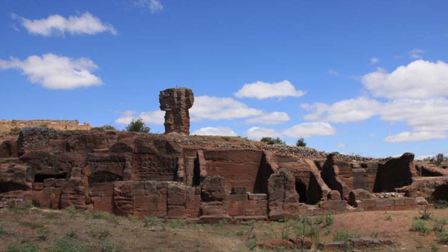 SO_Tiermes_fotoBenitoArnaiz_20120701_0240 copia