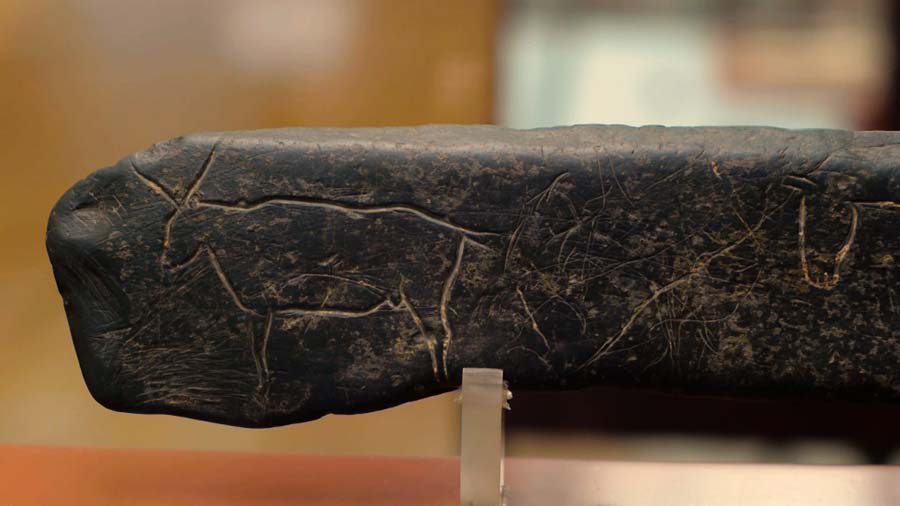 museo-numantino copia