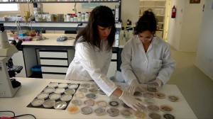 Frame audiovisual David frente a Goliat