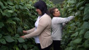 Desafío Mujer Rural: recogiendo fabas