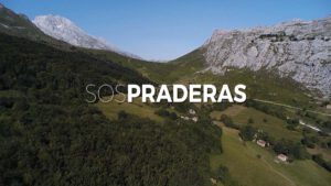 SOSPRADERAS: carátula